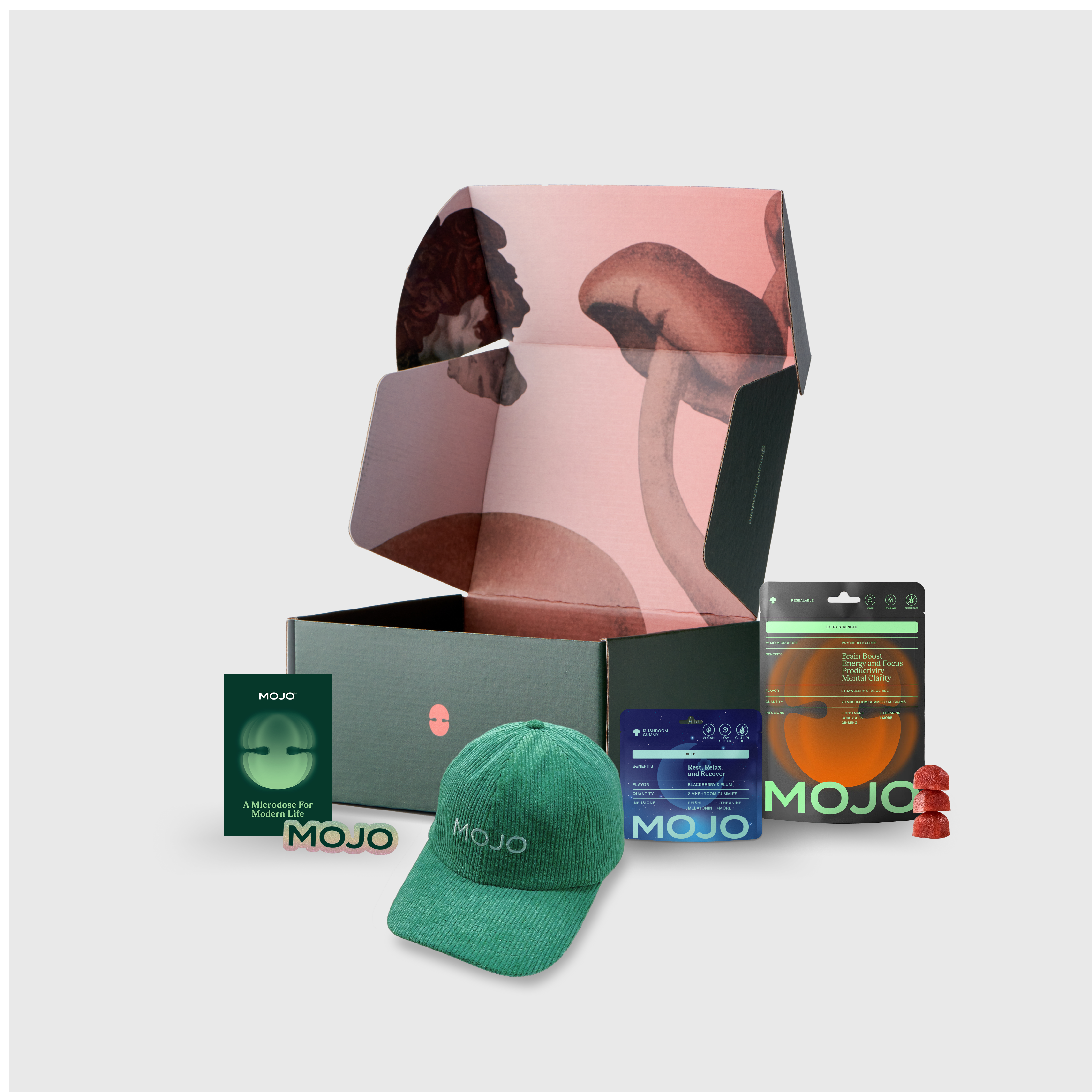 A single green leaf against a white background.