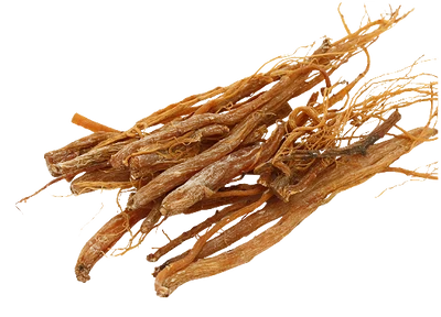 
Panax Ginseng