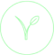 Vegan